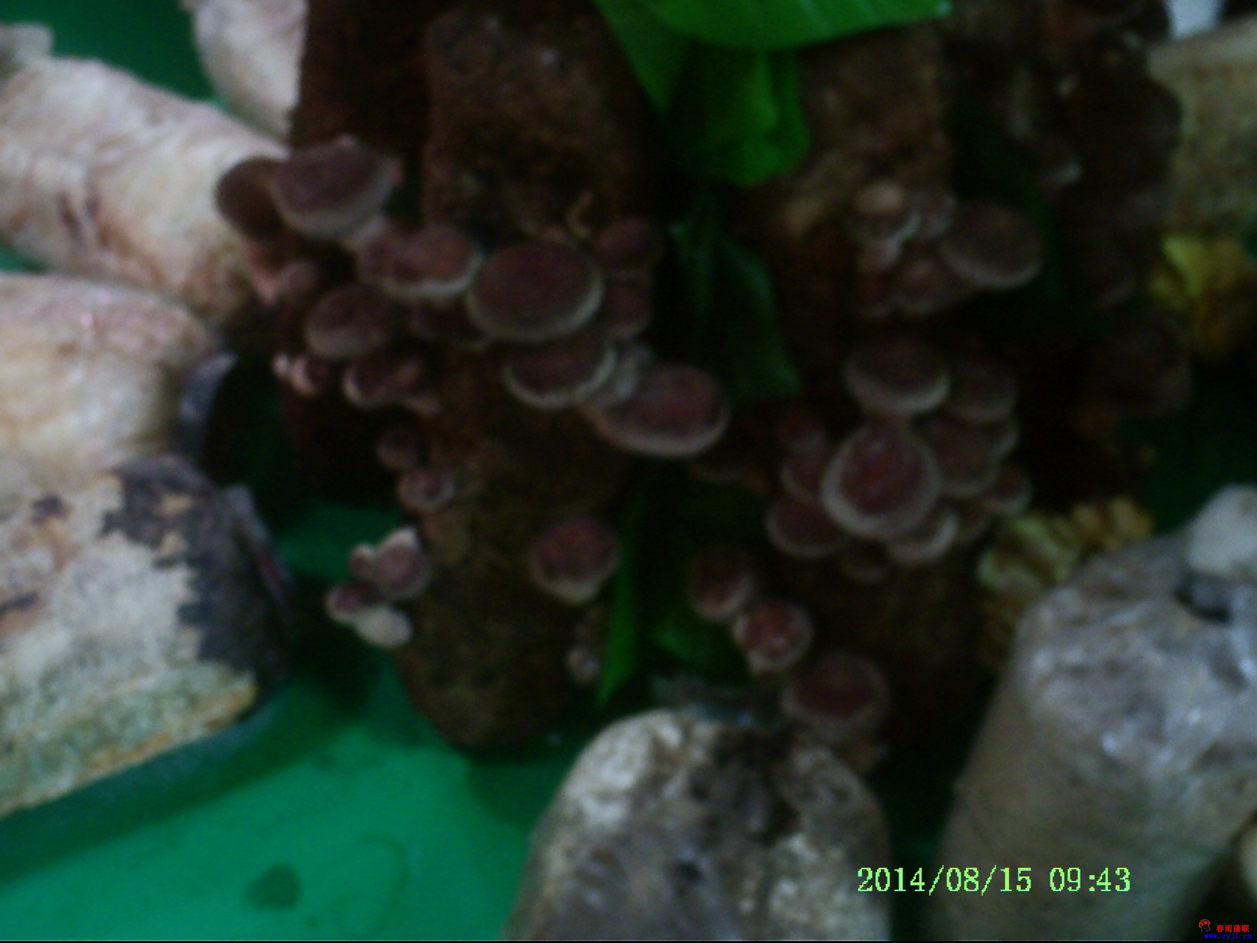 PICT0048.JPG