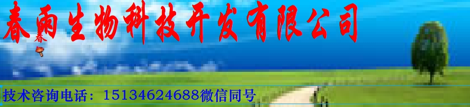 ҵ